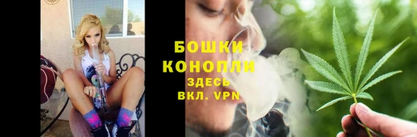 шишки Аркадак