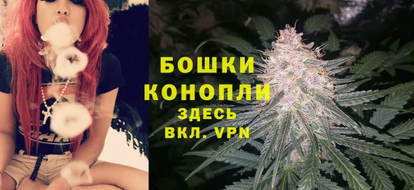 амф Семилуки