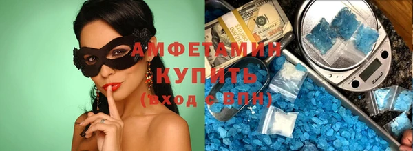 шишки Аркадак