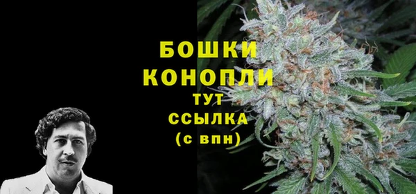 шишки Аркадак
