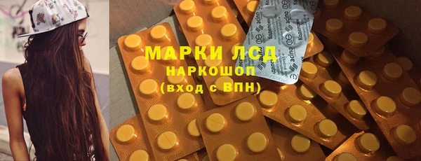 шишки Аркадак